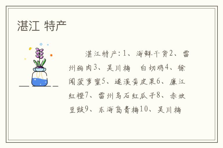 湛江 特产